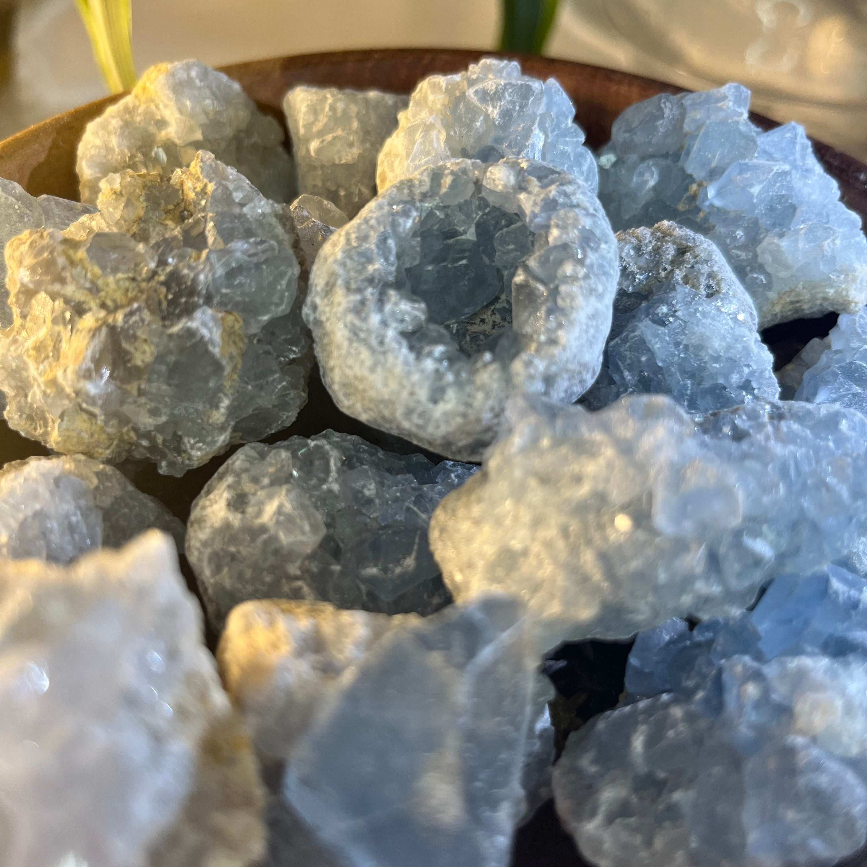 Celestite Mini Clusters - Spiritual Guidance & Mental Clarity Crystals