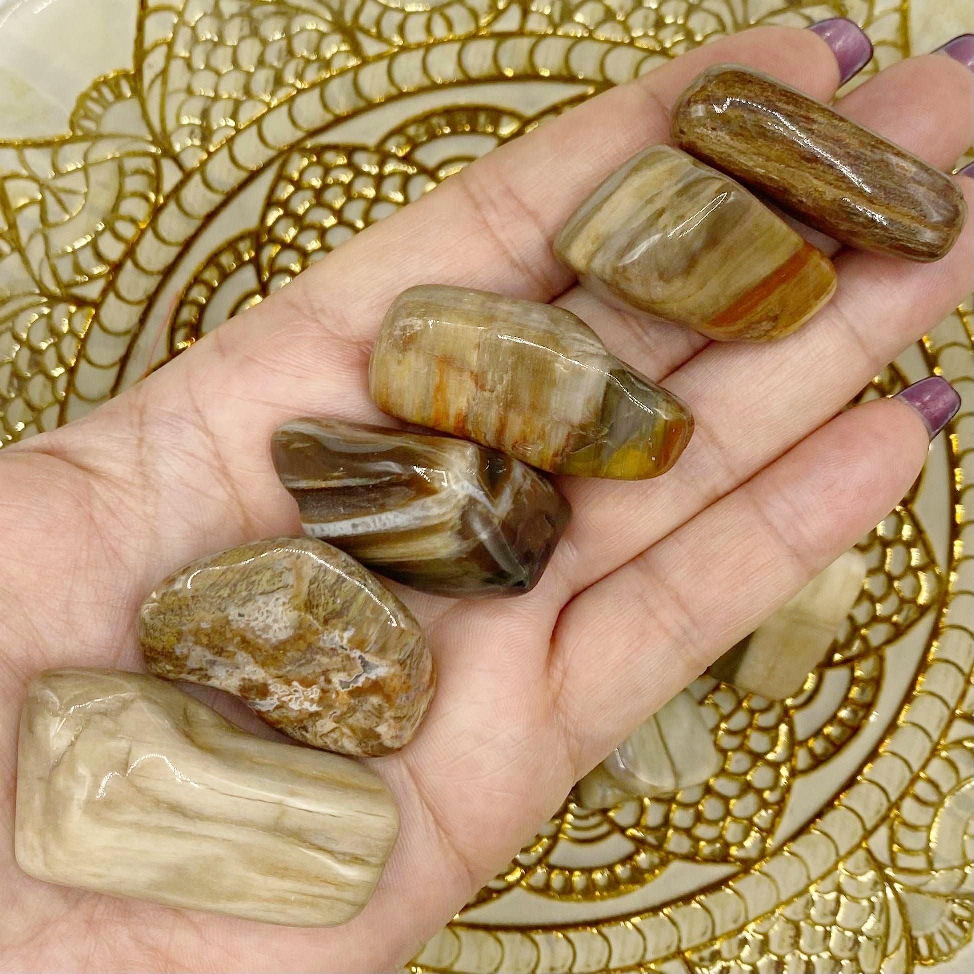 Fossilised Wood Tumblestones - Stability & Grounding Crystals