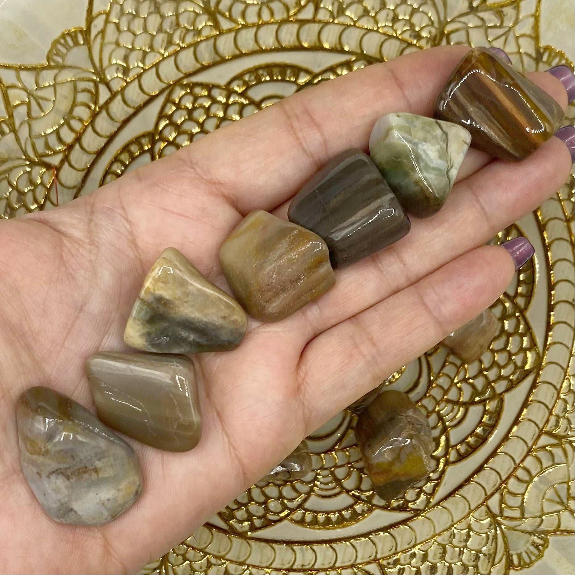 Fossilised Wood Tumblestones - Stability & Grounding Crystals