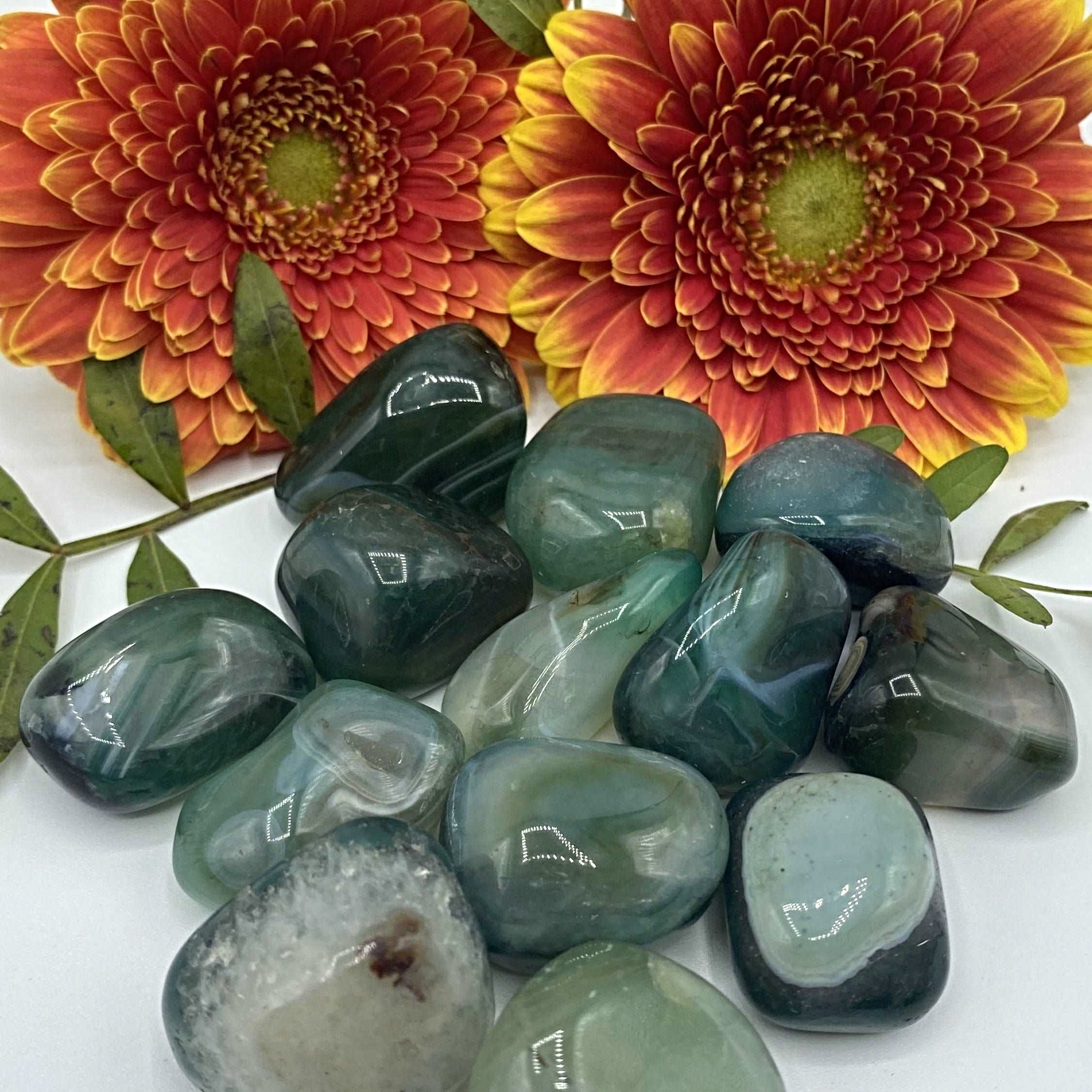 Green Agate Tumblestones - Balance & Good Fortune Medium Crystals