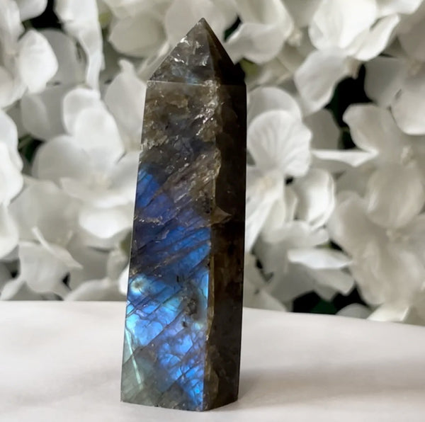 Labradorite Polished Point - Magic & Clairvoyance 4- 8cm x 2.5cm Crystals