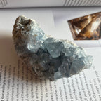 Celestite Cluster - Spiritual Guidance & Mental Clarity 2- 8.3cm x 4.6cm Crystals