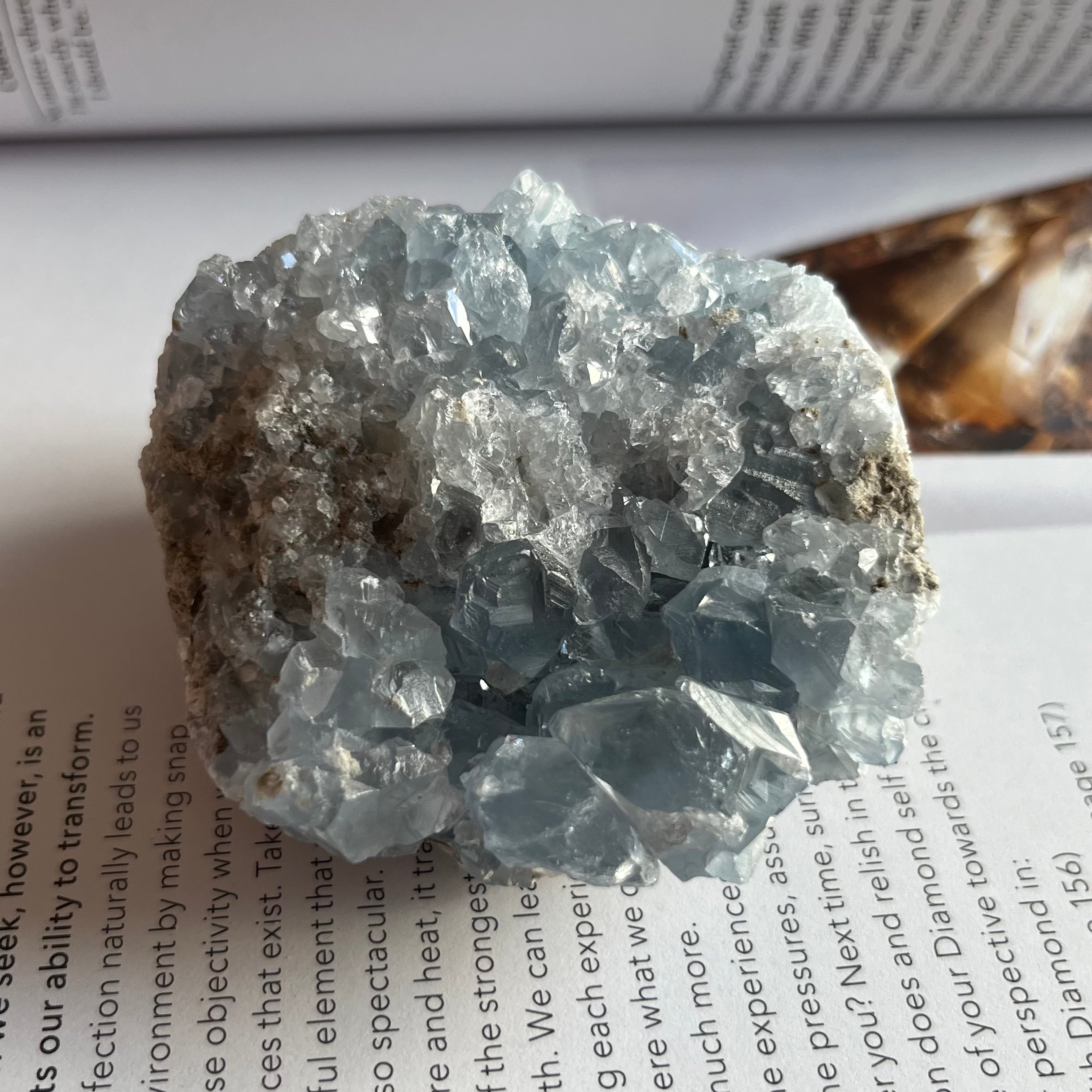 Celestite Cluster - Spiritual Guidance & Mental Clarity 3- 6cm x 7cm Crystals