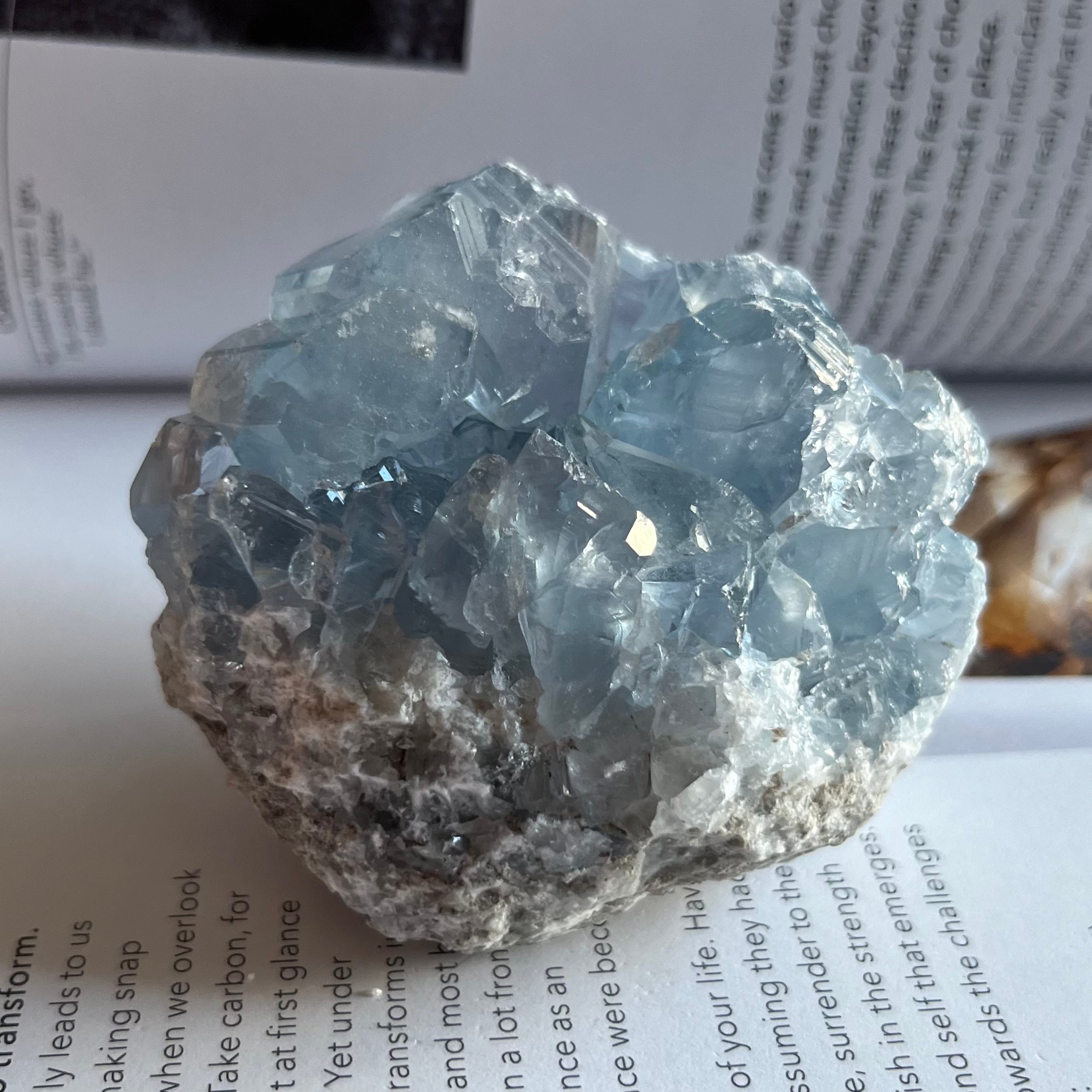 Celestite Cluster - Spiritual Guidance & Mental Clarity 6- 6.8cm x 4.6cm Crystals