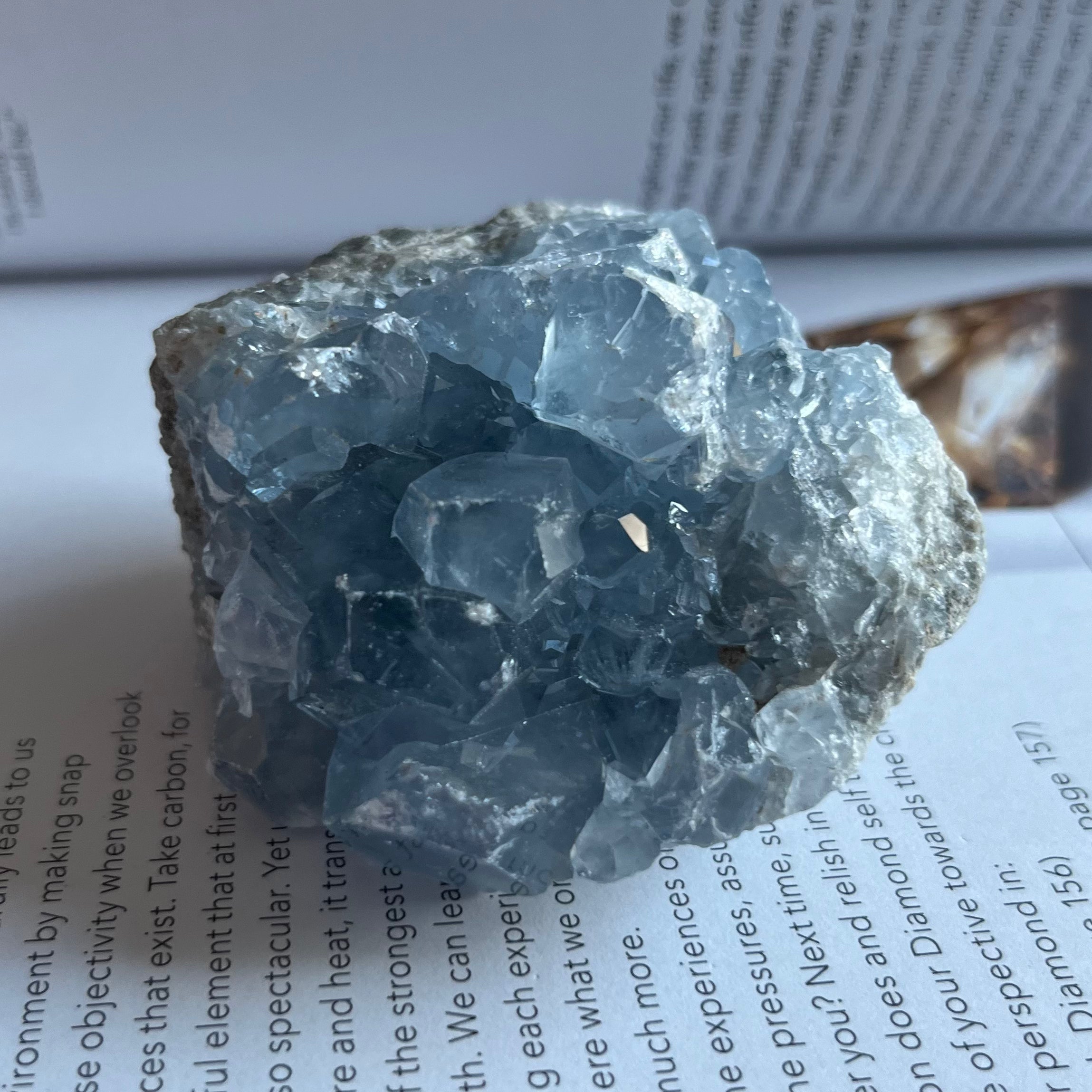 Celestite Cluster - Spiritual Guidance & Mental Clarity 7- 6.1cm x 5.8cm Crystals