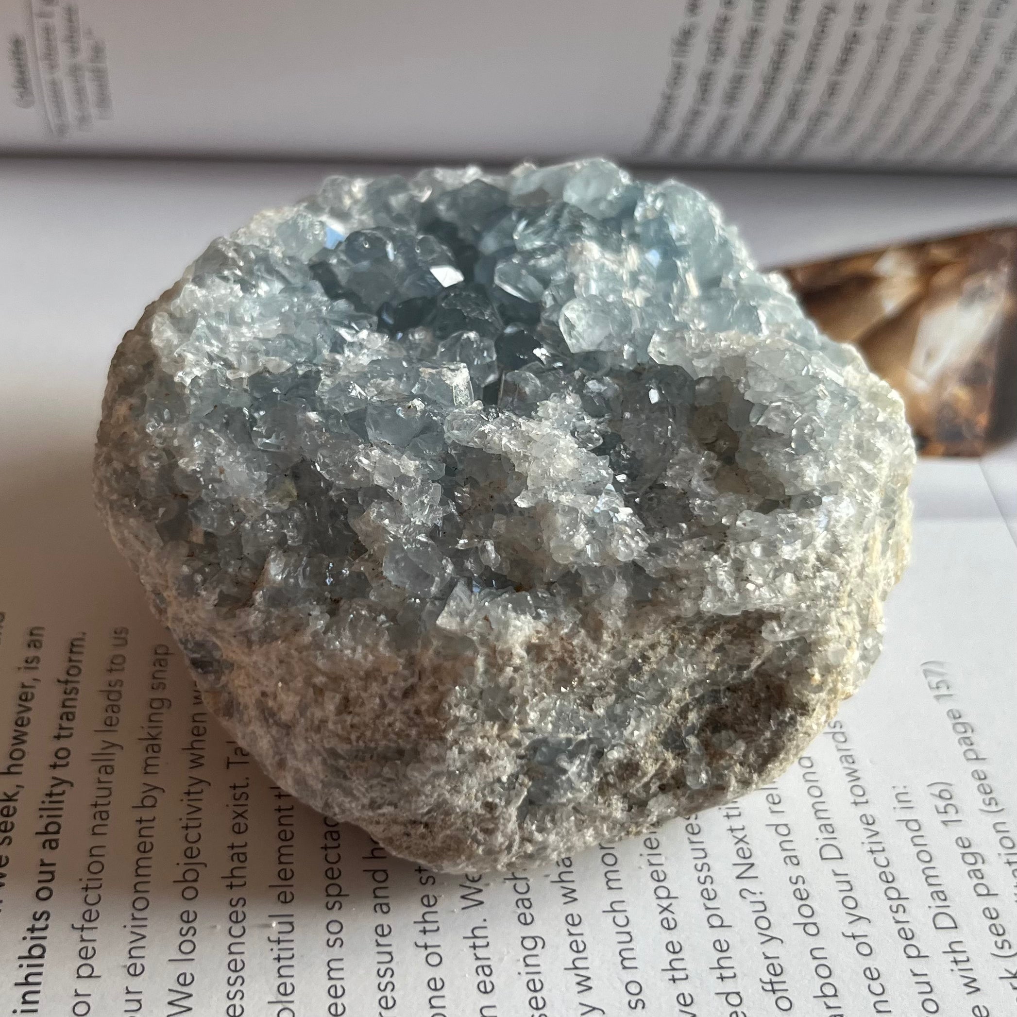 Celestite Cluster - Spiritual Guidance & Mental Clarity 8- 7.6cm x 7.4cm Crystals