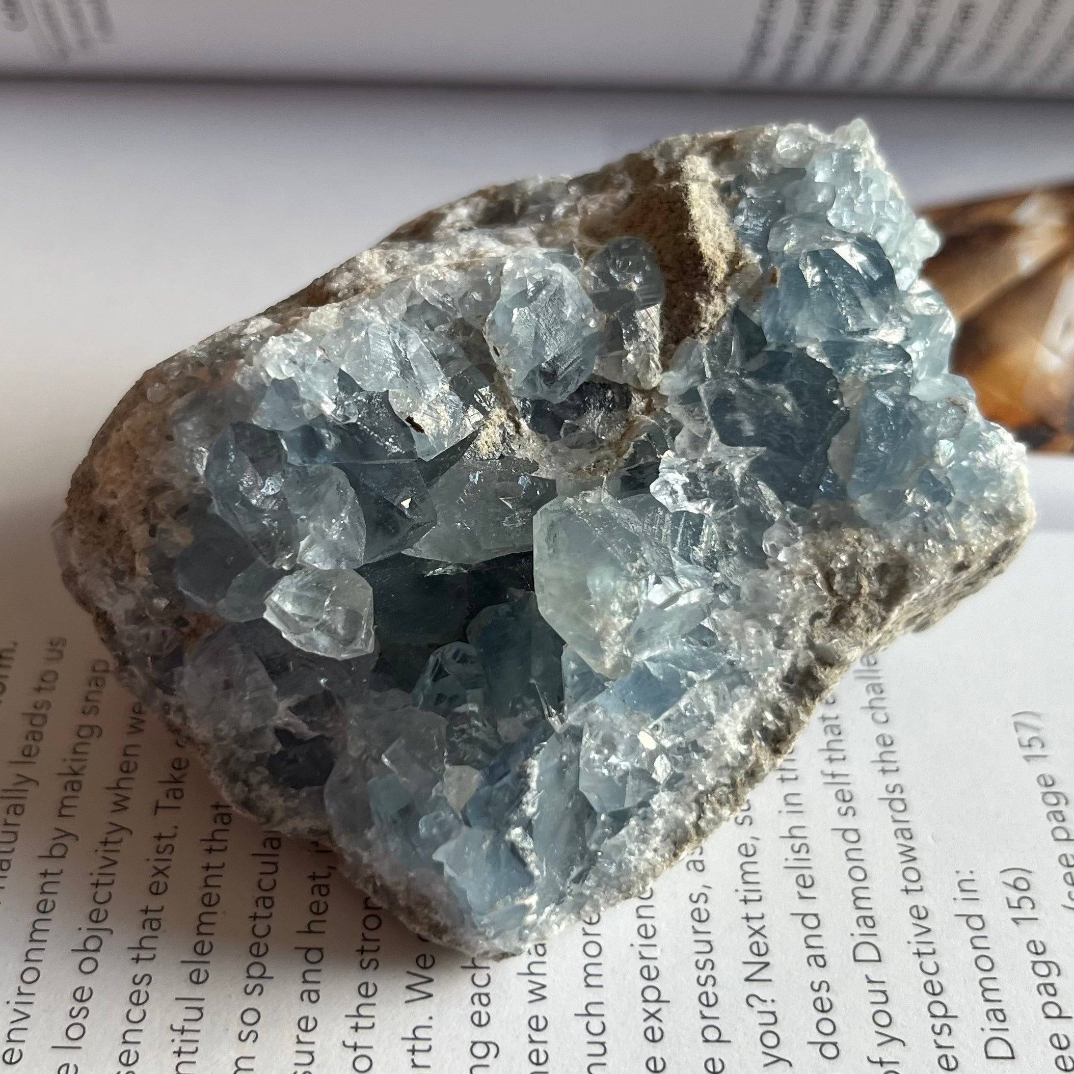 Celestite Cluster - Spiritual Guidance & Mental Clarity 9- 7.7cm x 5.4cm Crystals