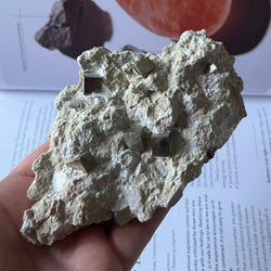 Pyrite Cubes in Matrix (Large) - Success & Prosperity 1- 12.7cm x 7.7cm Crystals