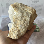White Quartz Geode (Half) - Intuition & Wisdom