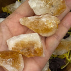 Rough Citrine (Heat Treated) Chunk - Abundance & Success Crystals