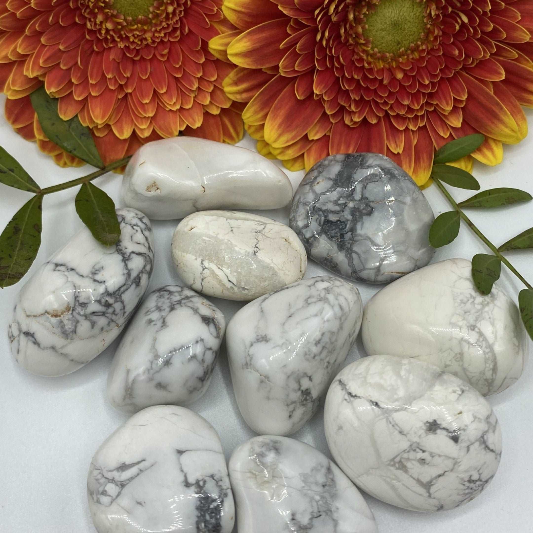 Howlite Tumblestones - Peace & Harmony Medium Crystals