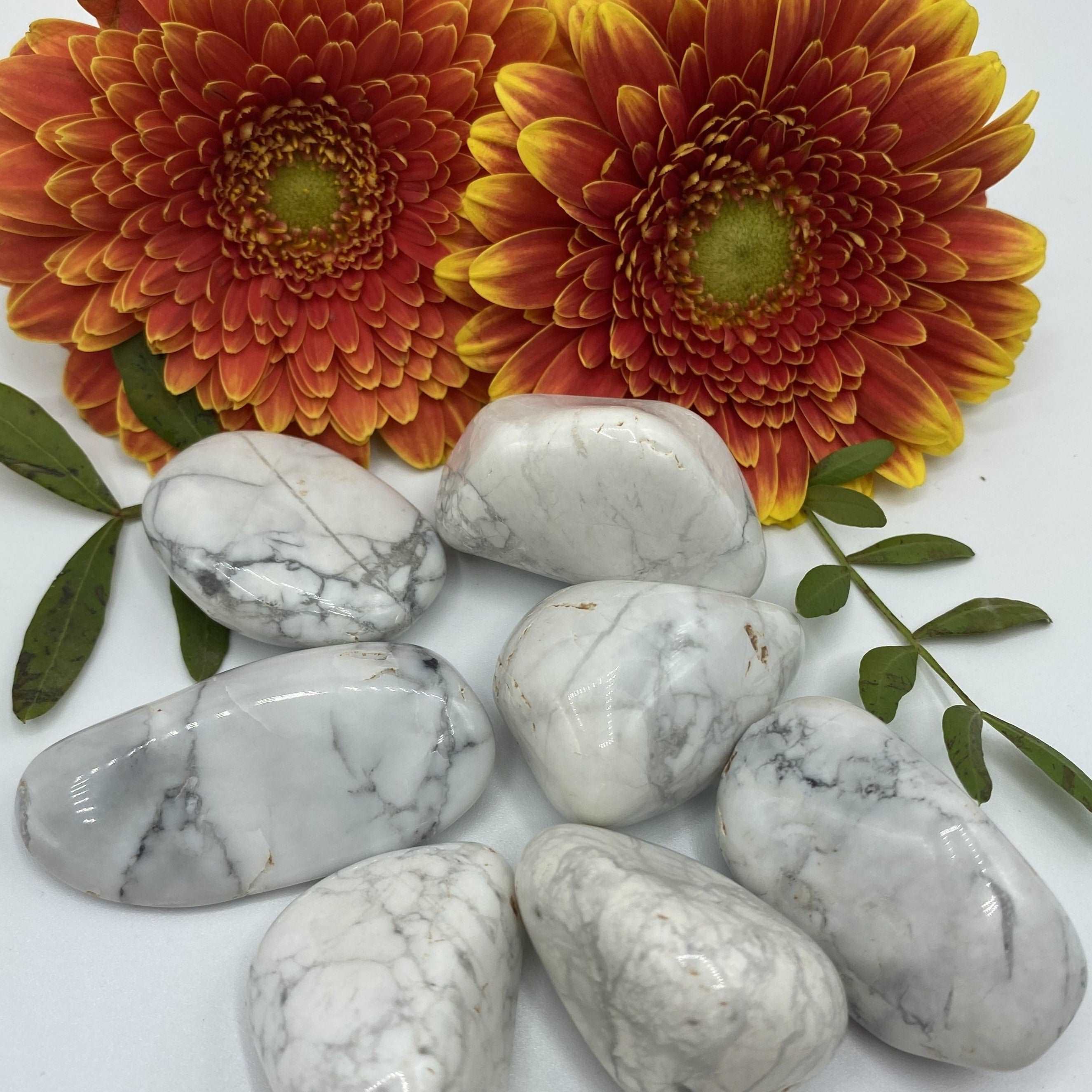 Howlite Tumblestones - Peace & Harmony Large Crystals