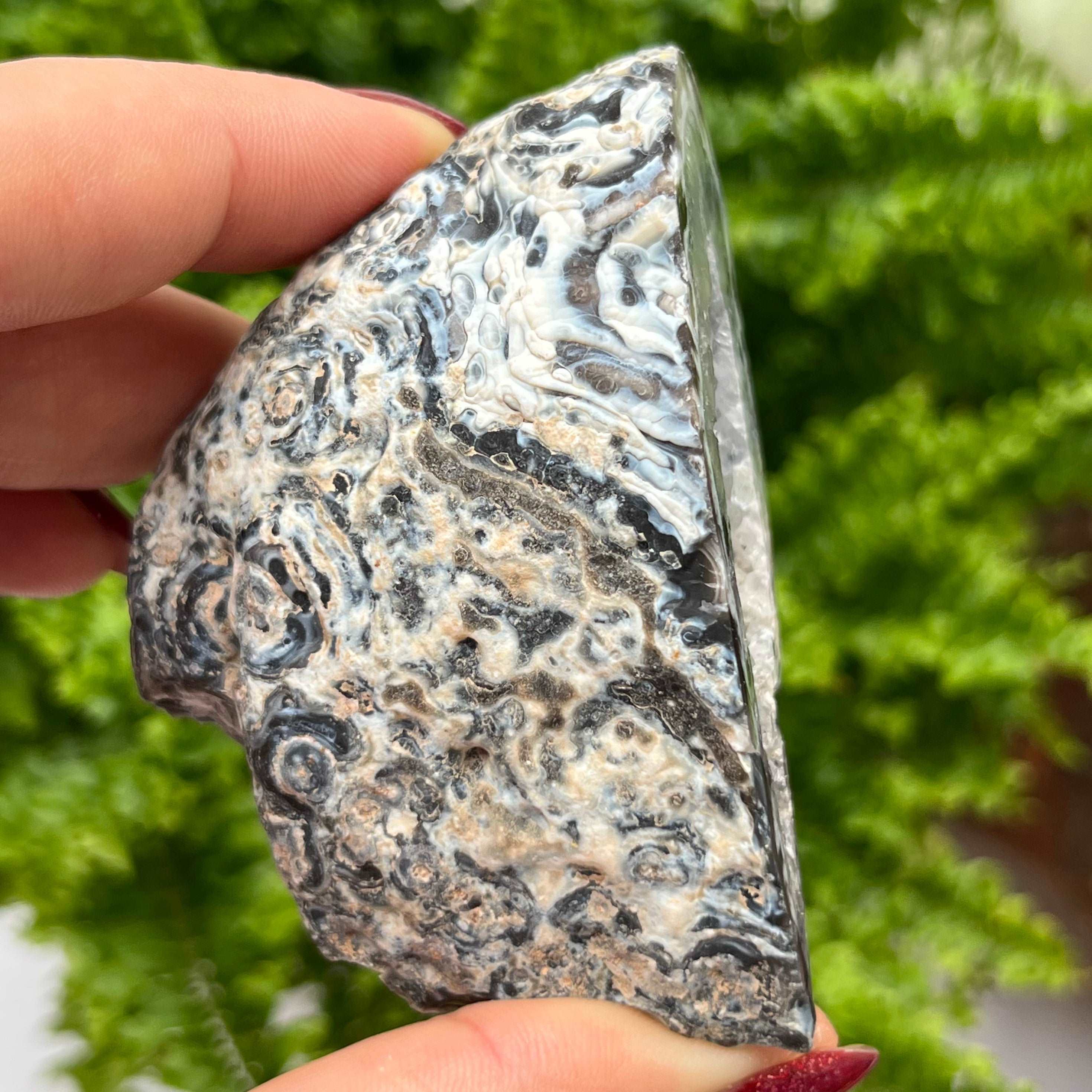 Oco Agate Druzy Geode Halves Crystals