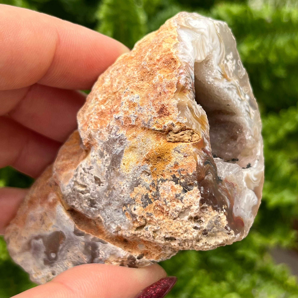 Oco Agate Druzy Geode Halves Crystals