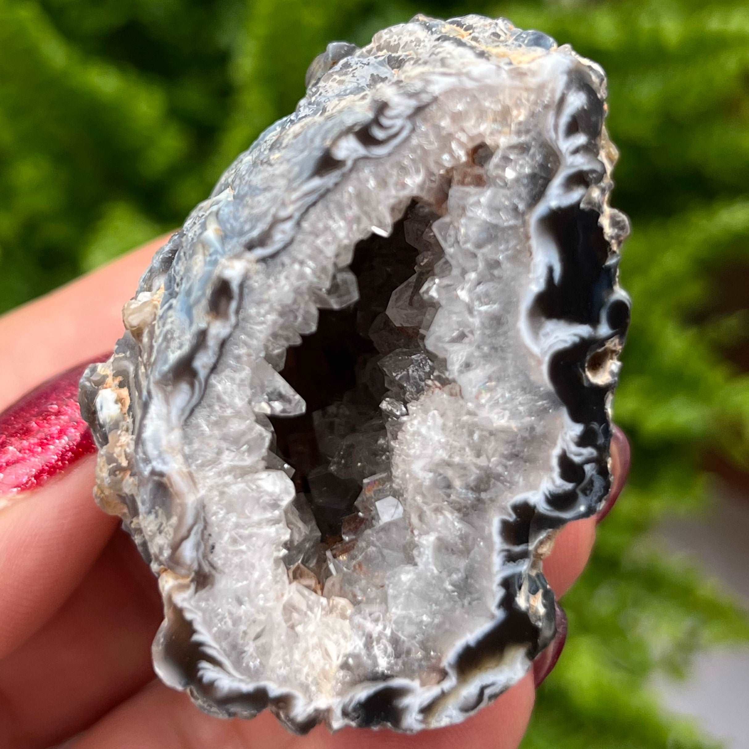 Oco Agate Druzy Geode Halves 6- 5.17cm x 5.12cm Crystals