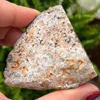 Oco Agate Druzy Geode Halves Crystals