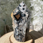 Agate Drusy Polished Point- Balance & Harmony Crystals