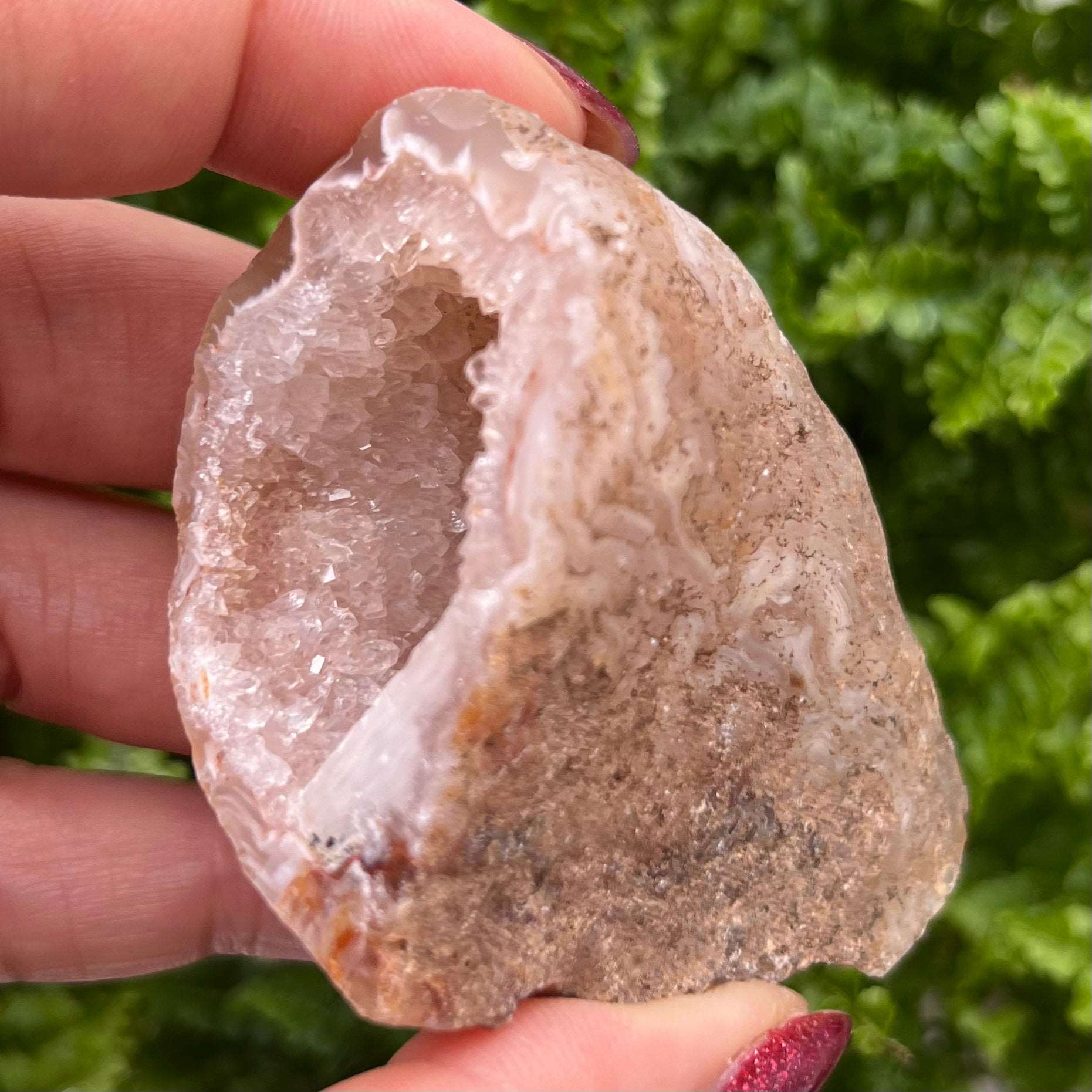Oco Agate Druzy Geode Halves Crystals
