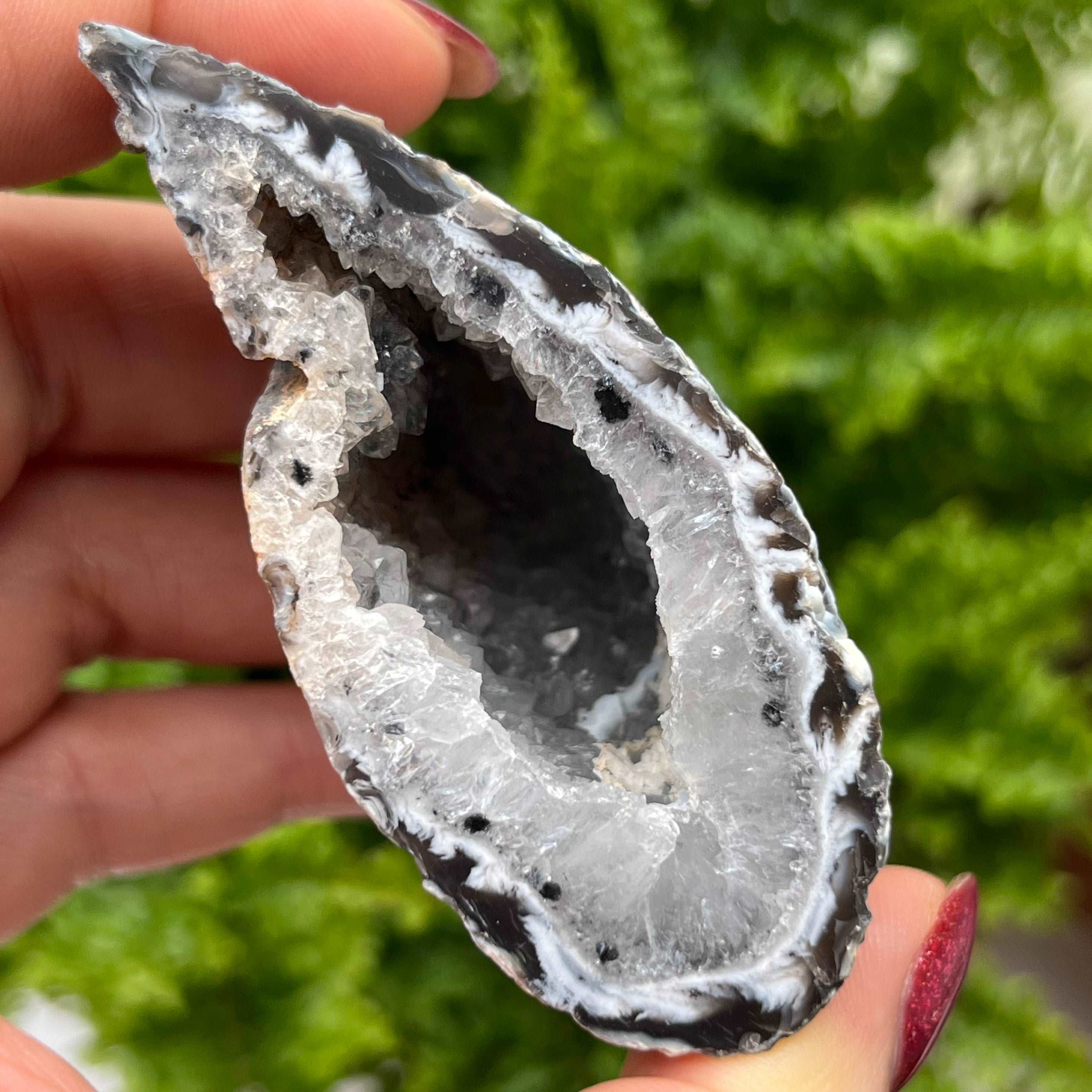 Oco Agate Druzy Geode Halves Crystals