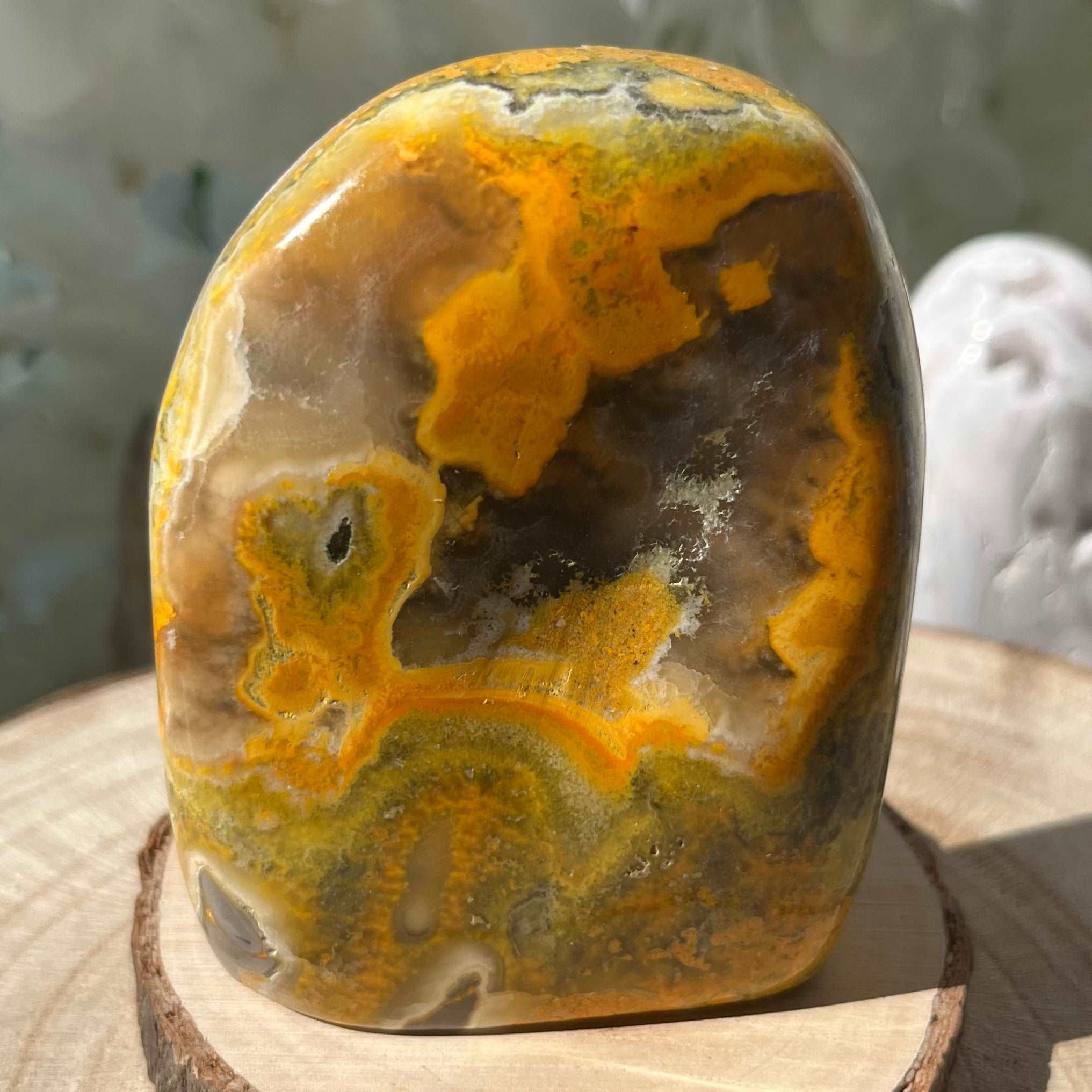Bumblebee Jasper Freeform Crystals