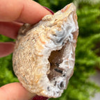 Oco Agate Druzy Geode Halves Crystals