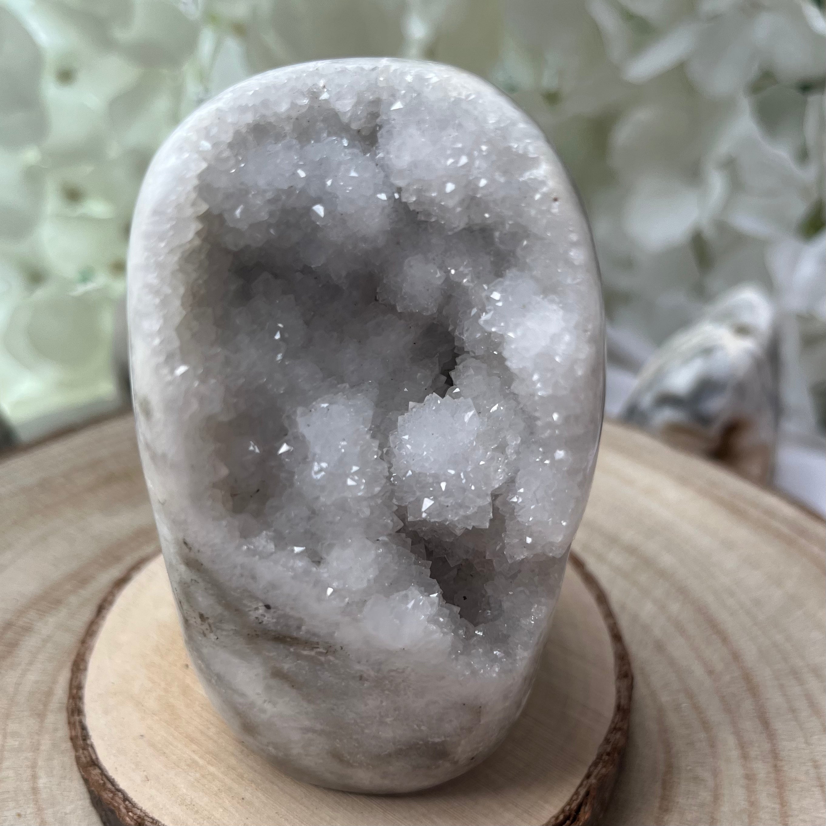 Zebra Agate Druzy Freeform Crystals