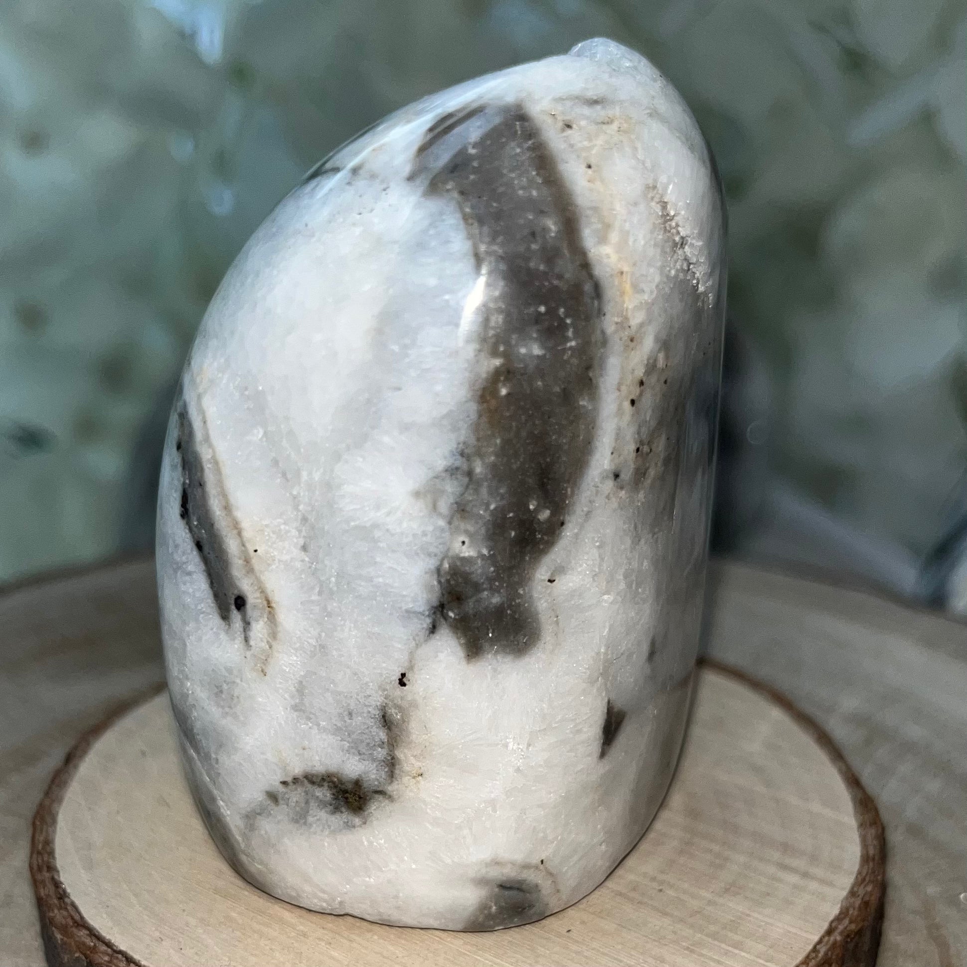 Zebra Agate Druzy Freeform Crystals