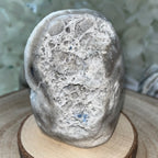 Zebra Agate Druzy Freeform Crystals