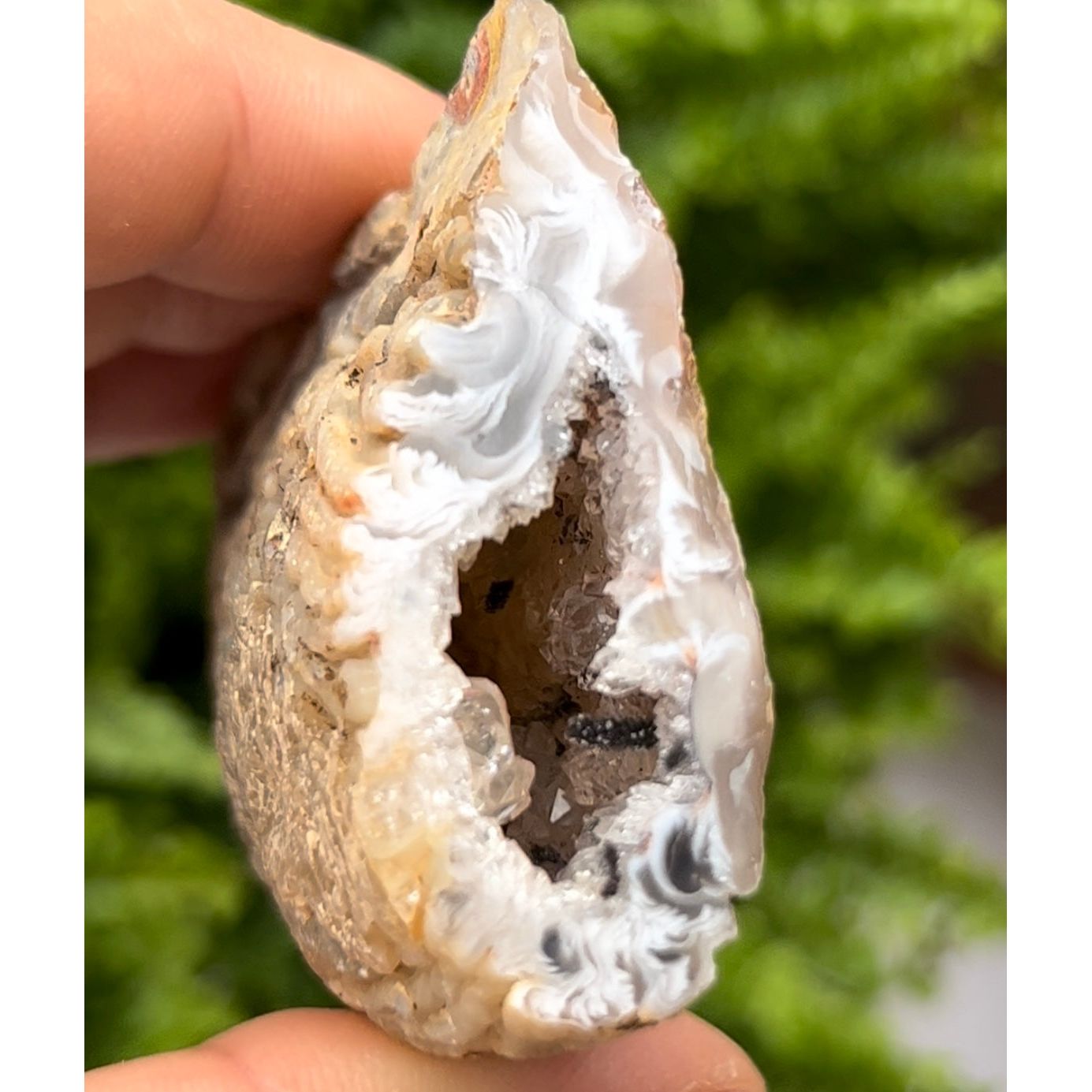 Oco Agate Druzy Geode Halves 5- 7.5cm x 4.5cm Crystals