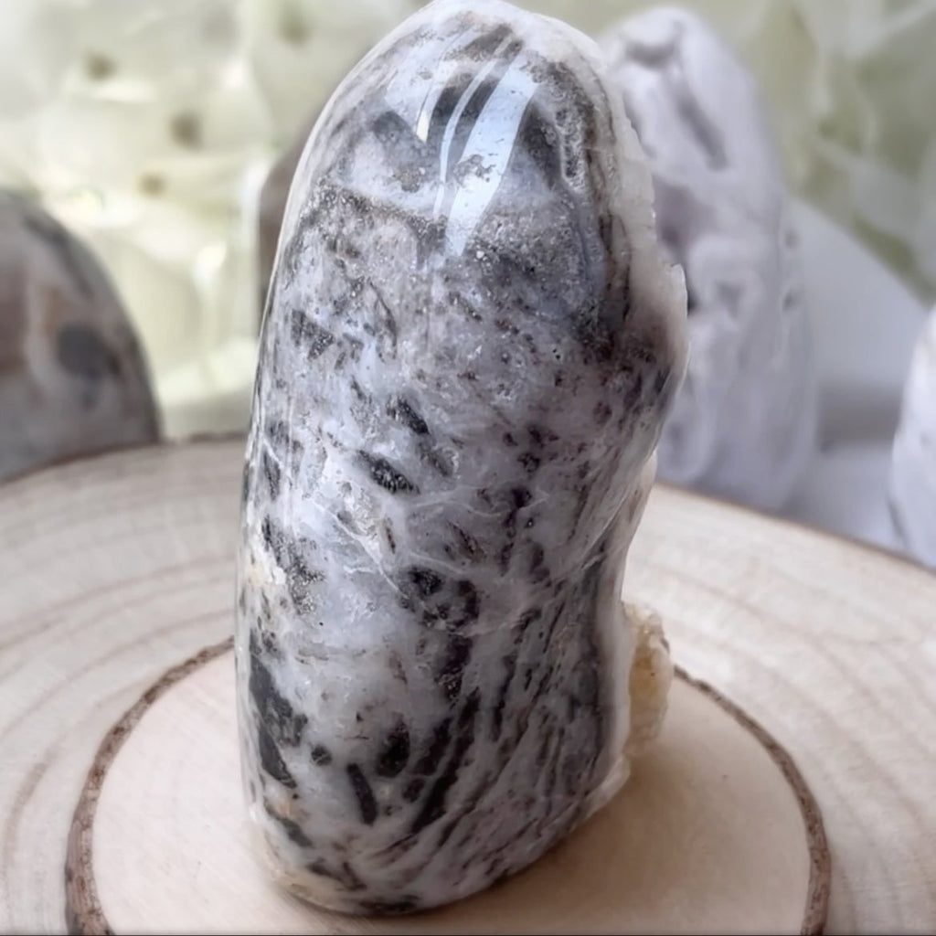 Zebra Agate Druzy Freeform Crystals