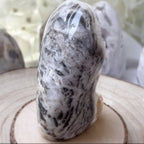 Zebra Agate Druzy Freeform Crystals