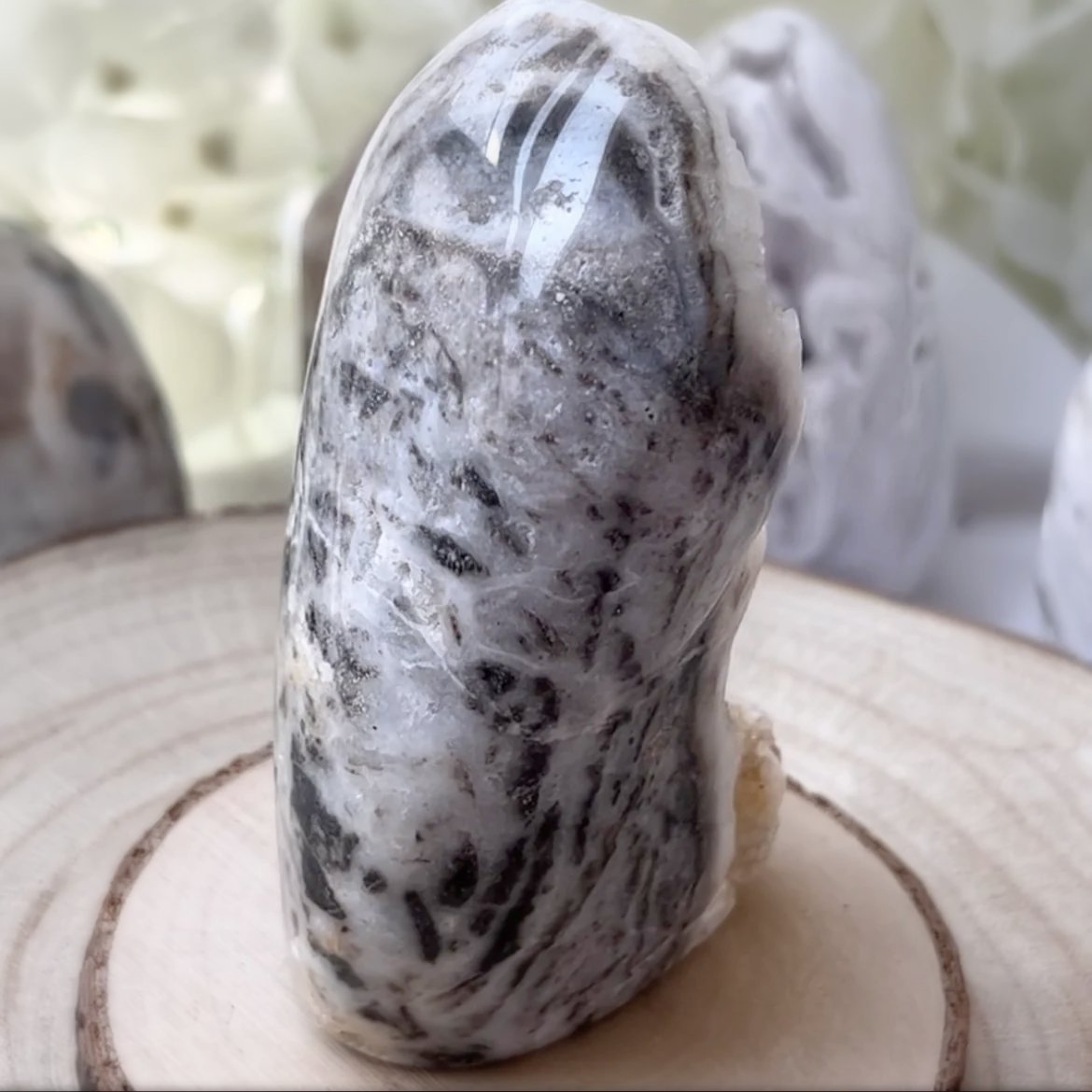 Zebra Agate Druzy Freeform Crystals