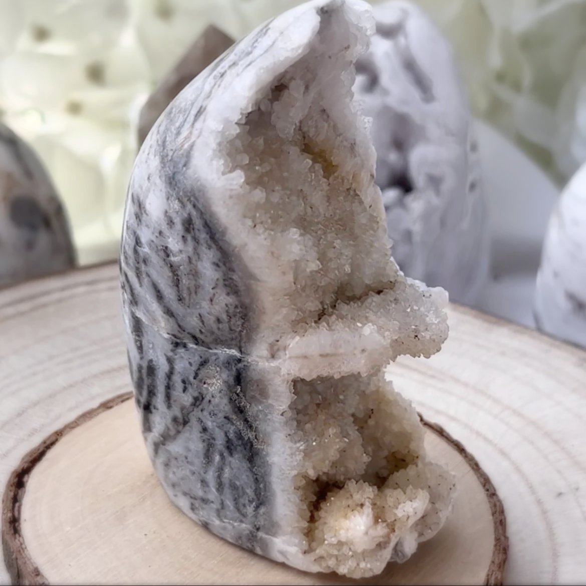 Zebra Agate Druzy Freeform Crystals