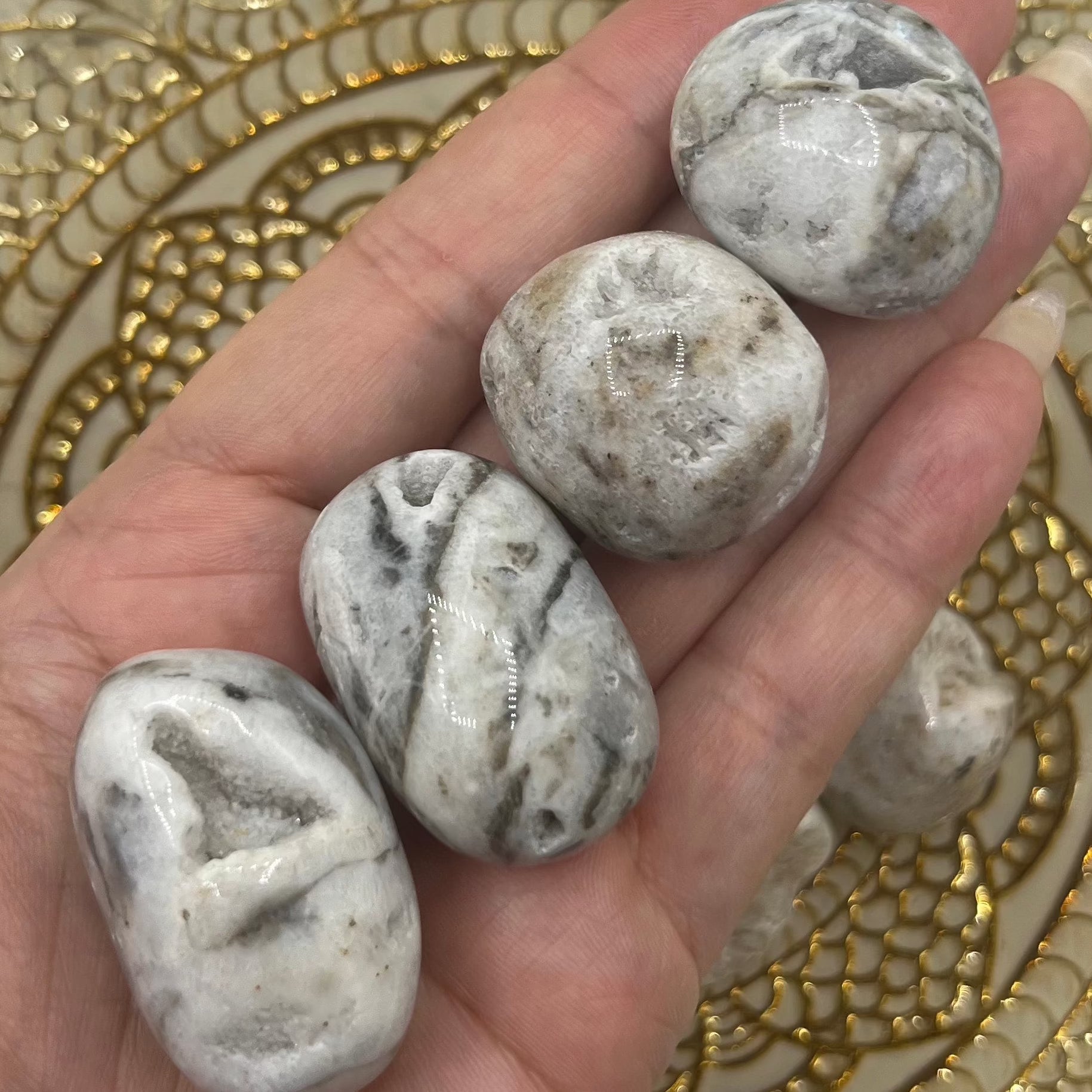 Zebra Agate Tumblestones - Balance & Physical Energy Crystals