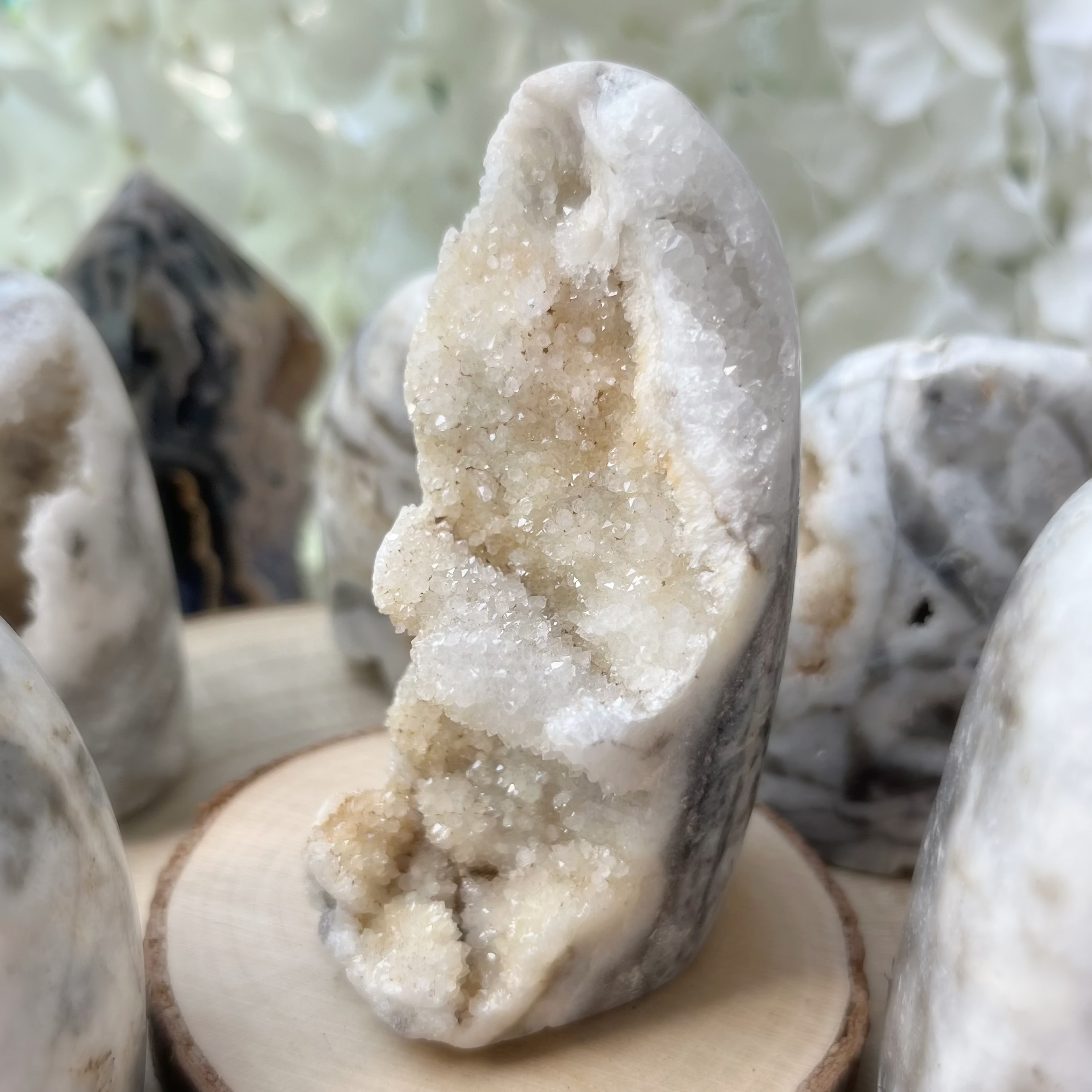 Zebra Agate Druzy Freeform Crystals