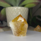 Citrine Cut Base Point (Heat Treated) - Abundance & Success