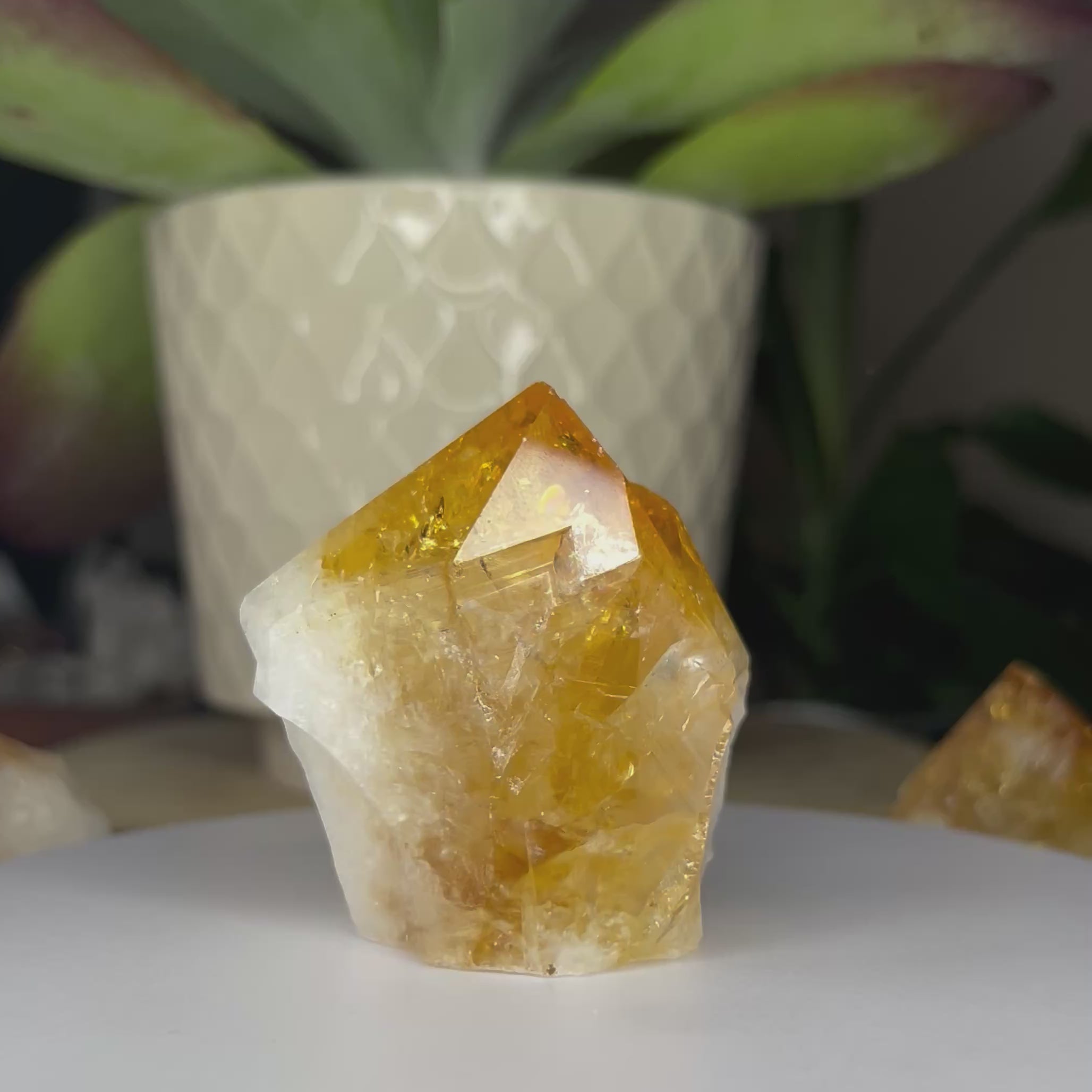 Citrine Cut Base Point (Heat Treated) - Abundance & Success