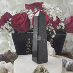 Black Tourmaline Obelisk - Energetic Protection