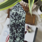 Rubycrosite (Ruby in Zoisite) Tower Point - Energising Harmony