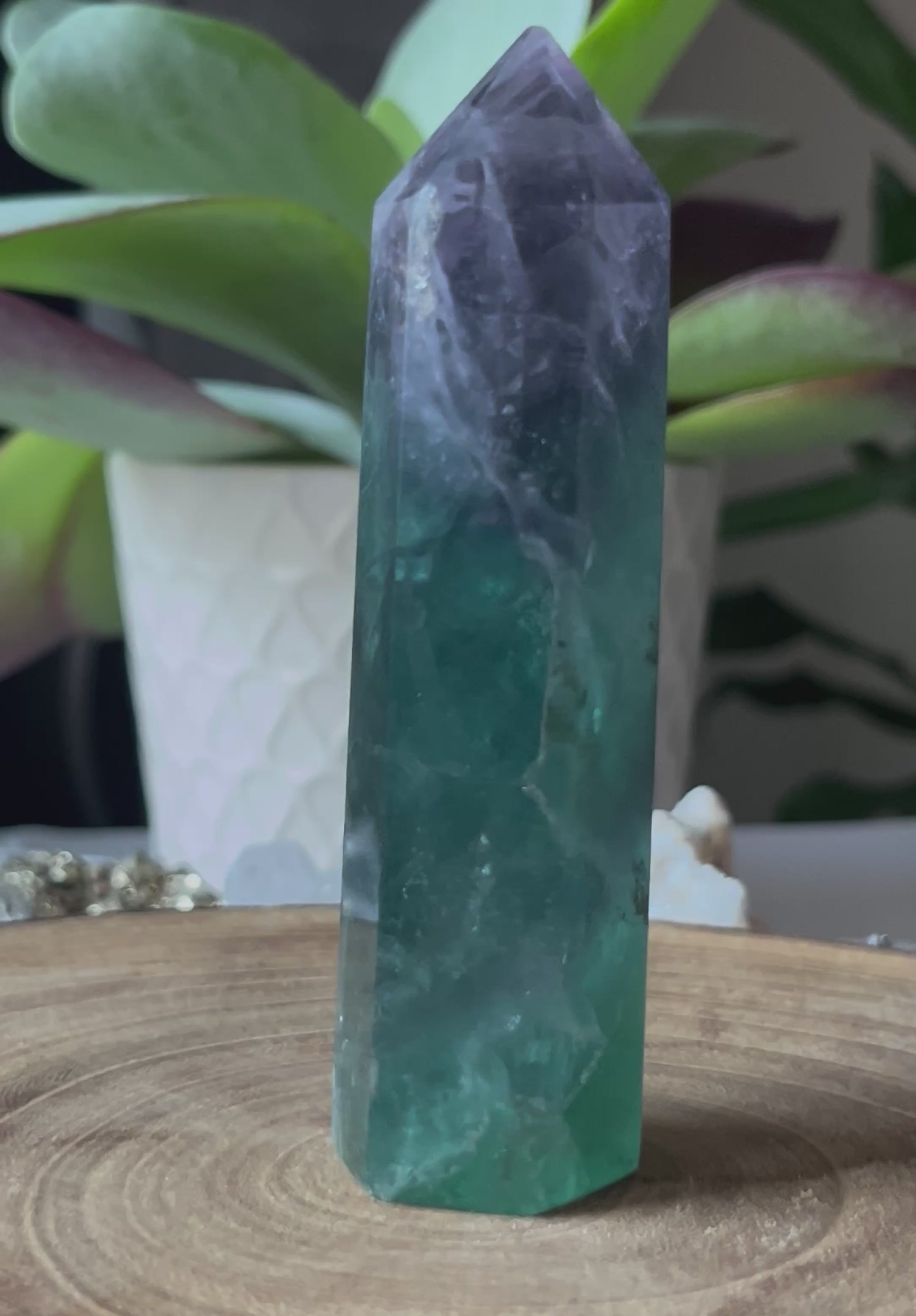 Fluorite Polished Point - Intuition & Protection