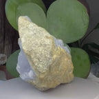 Blue Lace Agate Druse