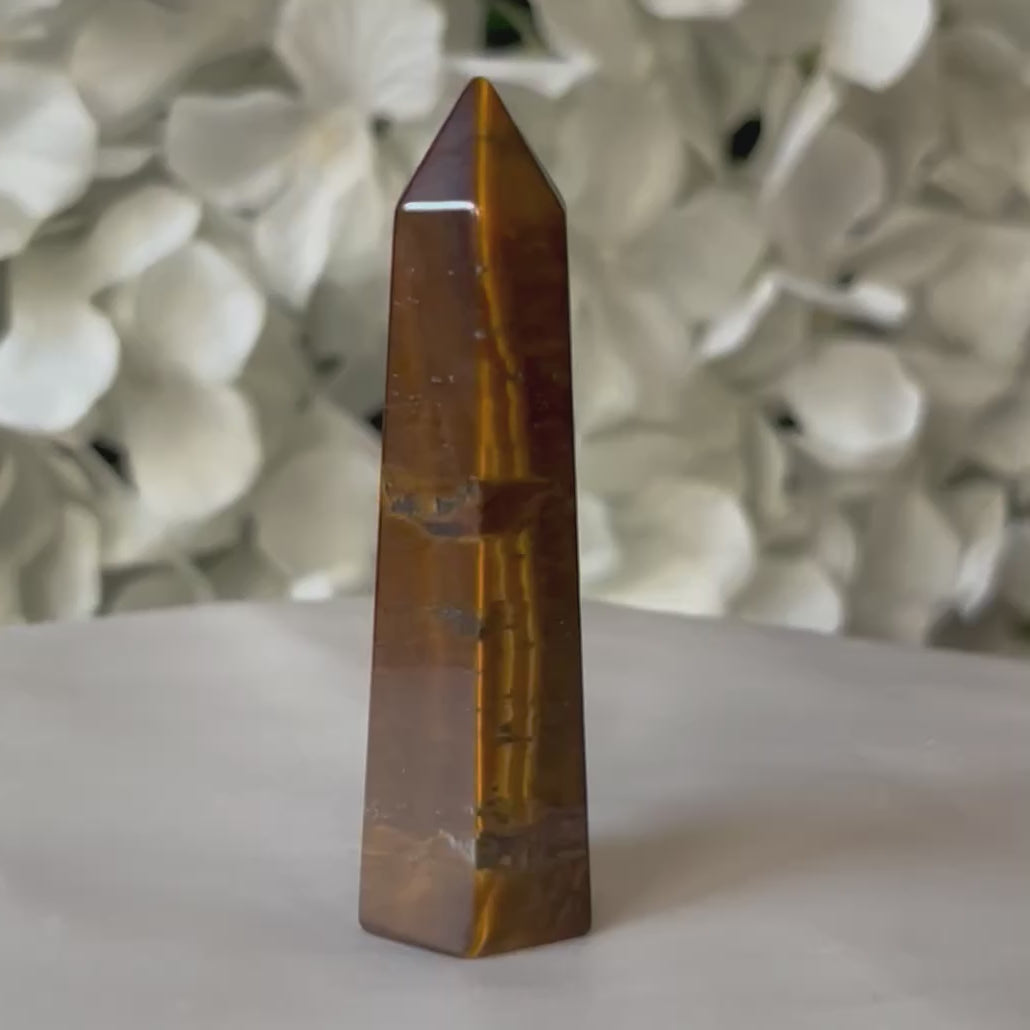 Tiger Eye Point - Courage & Protection