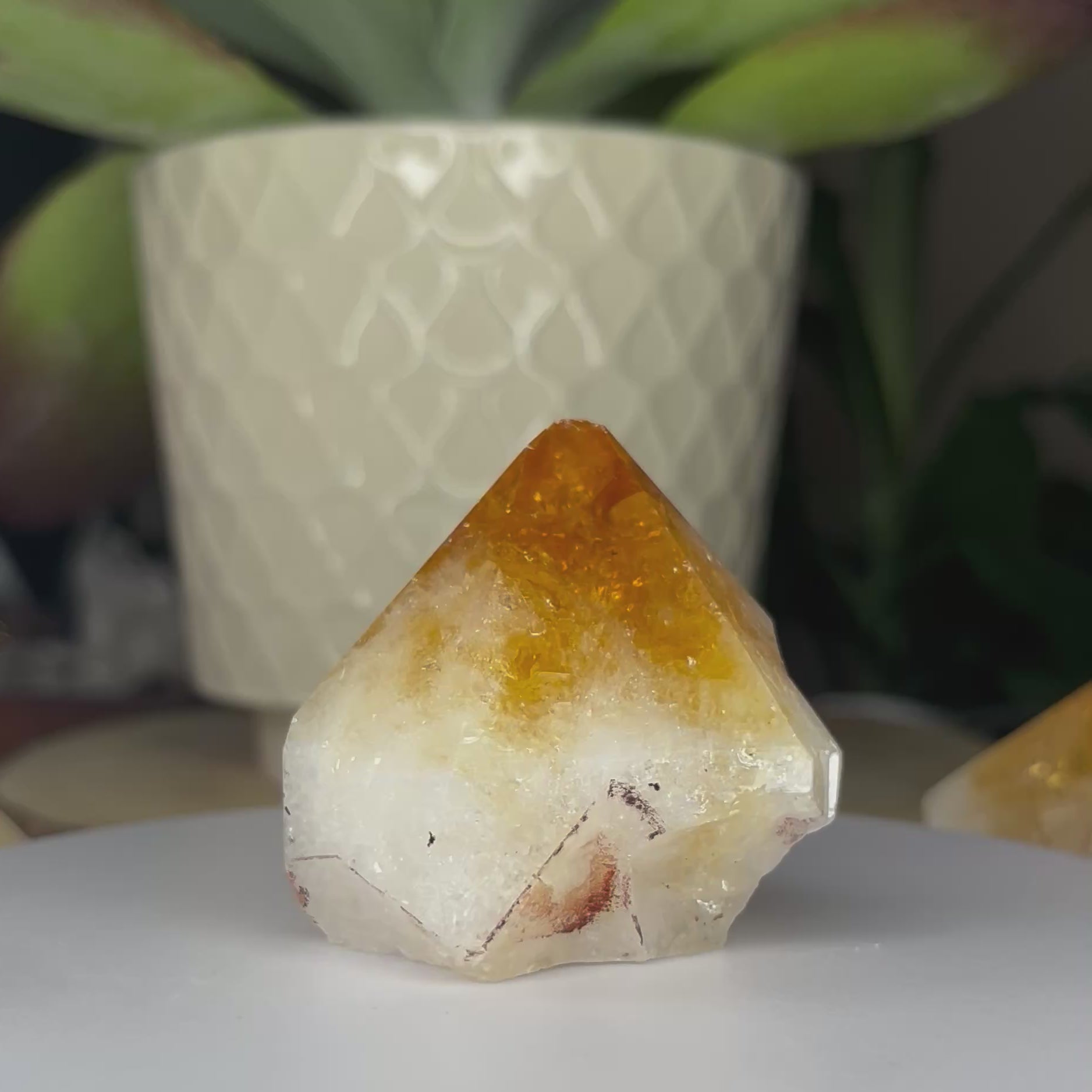 Citrine Cut Base Point (Heat Treated) - Abundance & Success