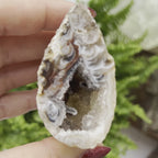 Oco Agate Druzy Geode Halves