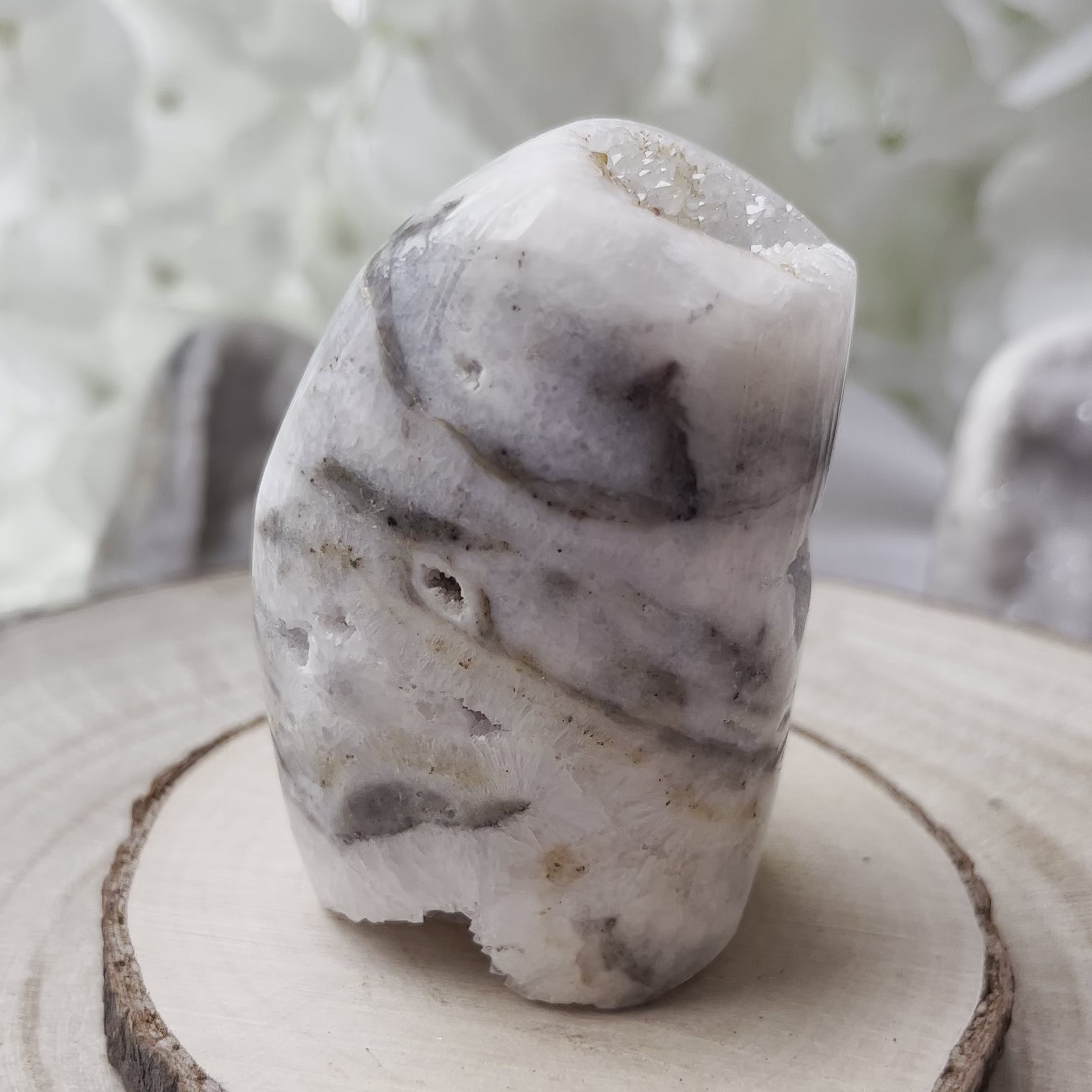 Zebra Agate Druzy Freeform