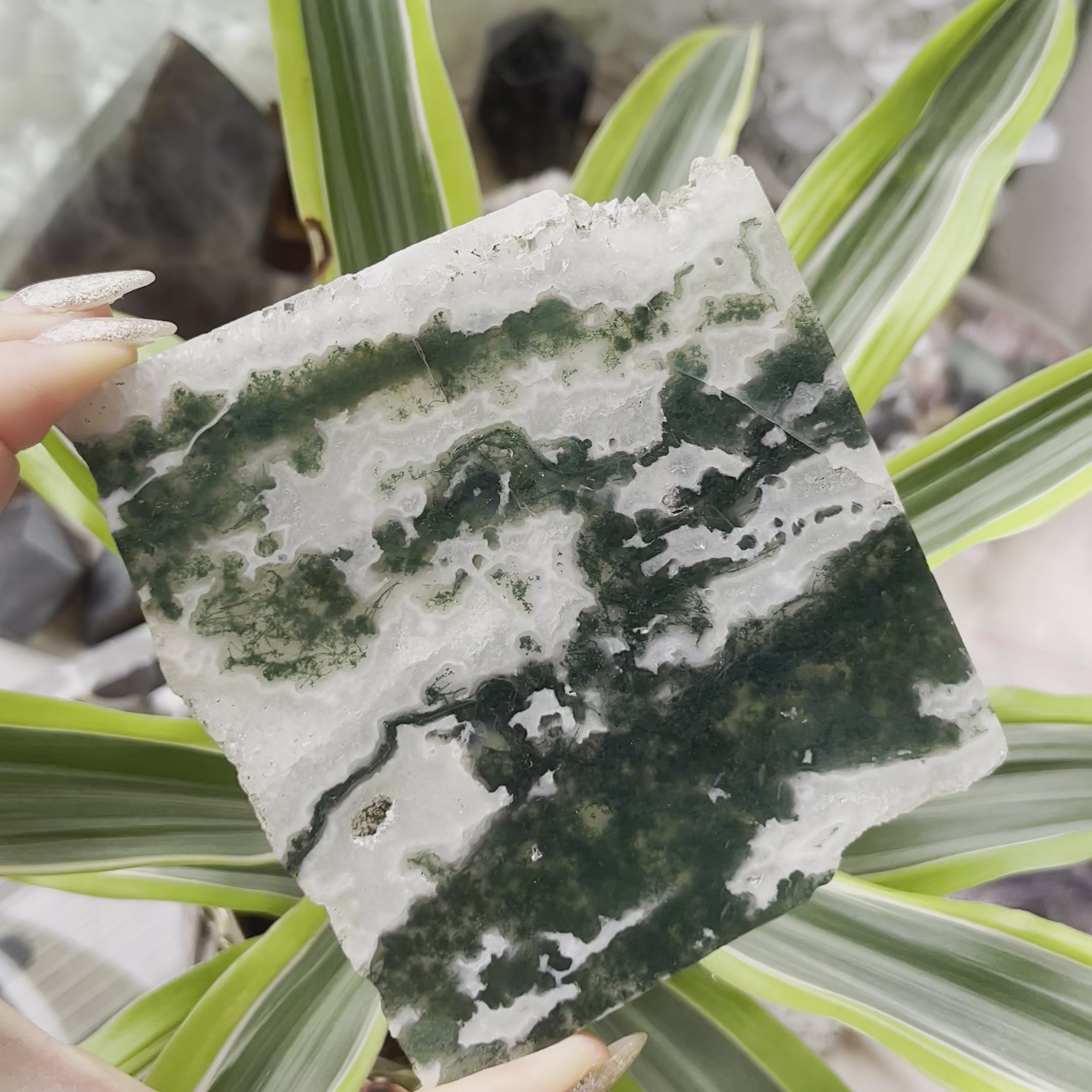 Moss Agate Slice - Optimism & Courage