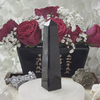Black Tourmaline Obelisk - Energetic Protection