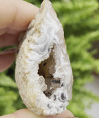 Oco Agate Druzy Geode Halves