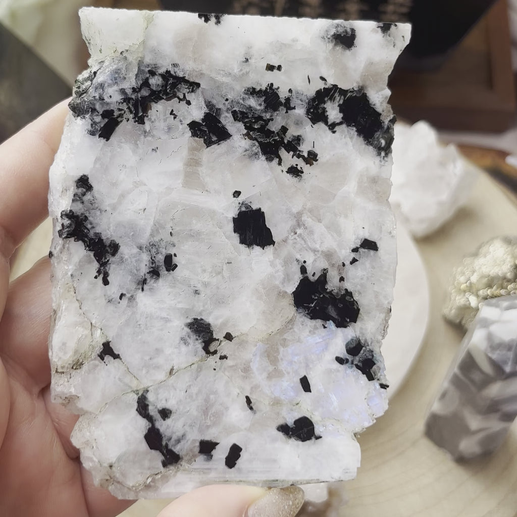 Rainbow Moonstone Slice - Feminine Energy