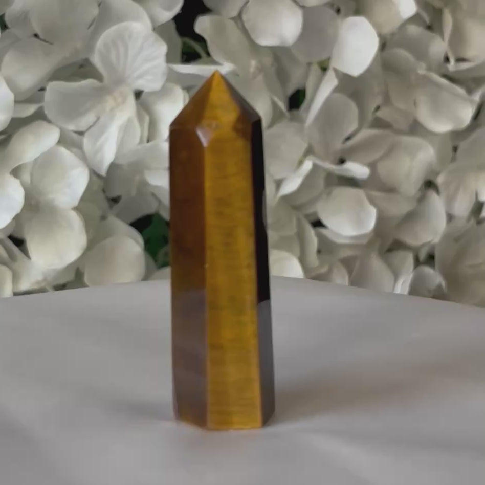 Tiger Eye Point - Courage & Protection